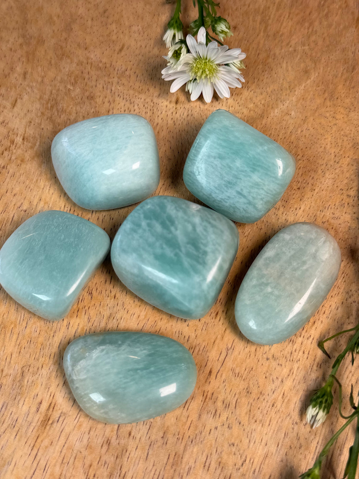 Boundaries Without Guilt™ Crystal Ritual Set