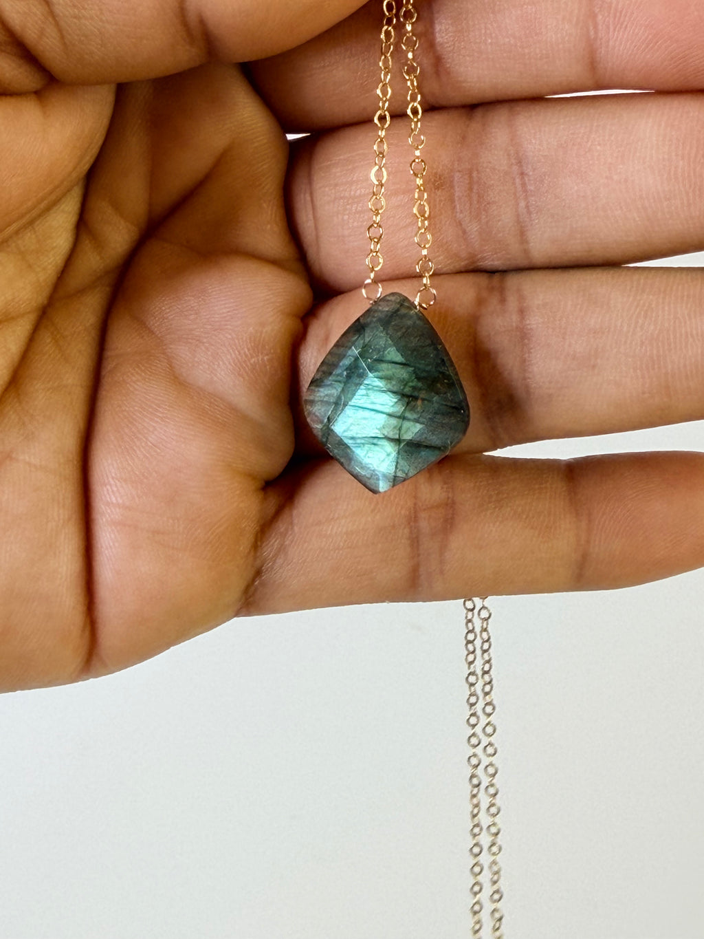 Labradorite Petal Necklace in 14K Gold-Filled