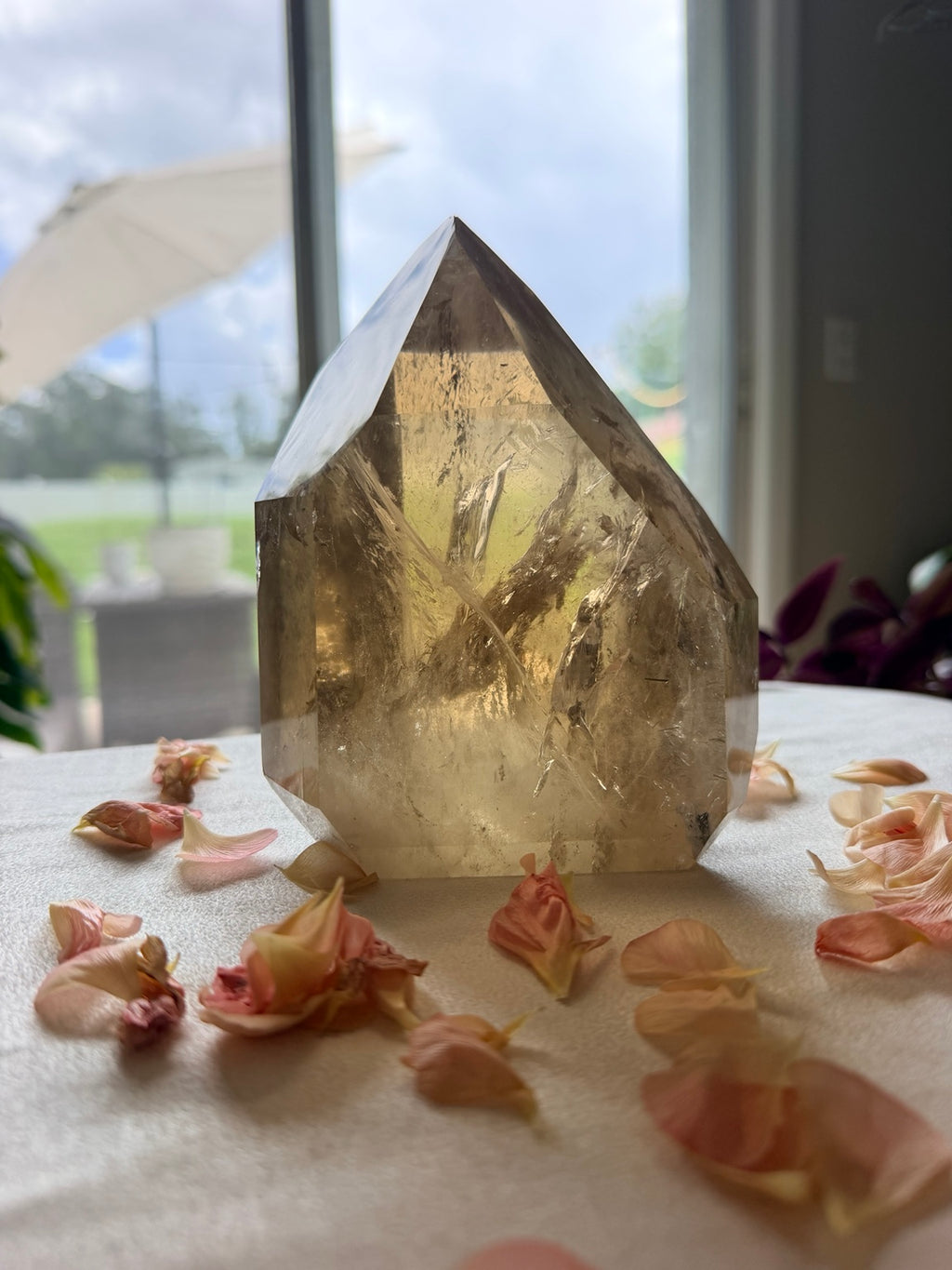 Natural Citrine with Tourmaline collector tower showing internal rainbows
