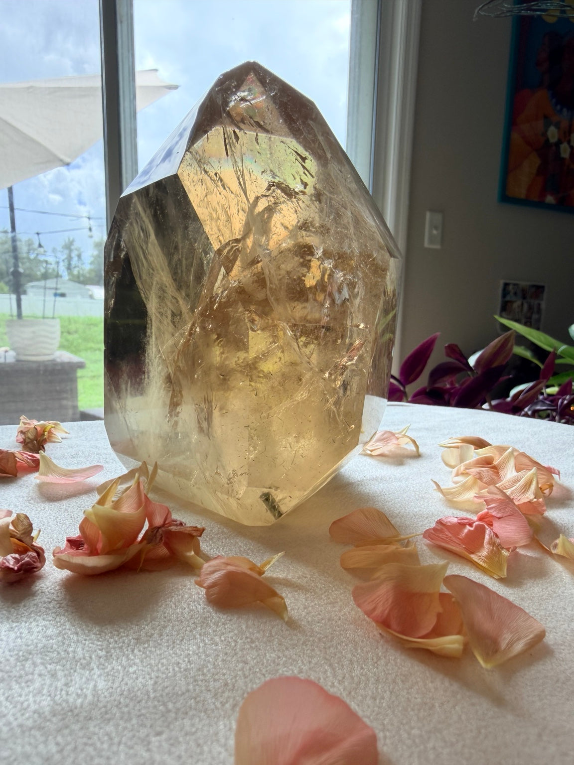 Natural Citrine with Tourmaline luxury collector crystal